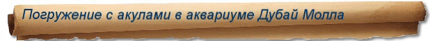 Туры и сафари в ОАЭ - погружение с акулами в аквариуме Дубай Молла