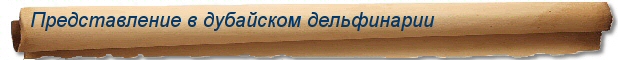 Туры и сафари в ОАЭ - представление в дубайском дельфинарии.