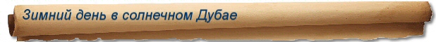 Туры и сафари в ОАЭ - зимний день в солнечном Дубае.